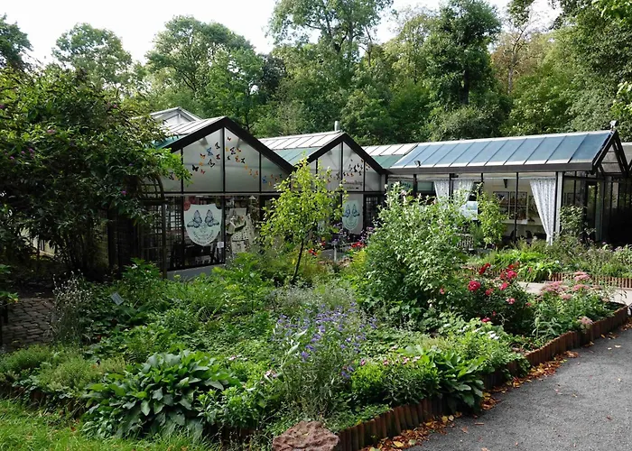 Apartamento Im Kannenbaeckerland Alsbach